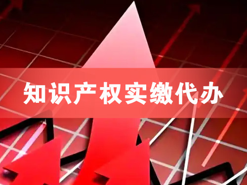 荔湾知识产权实缴资本代办